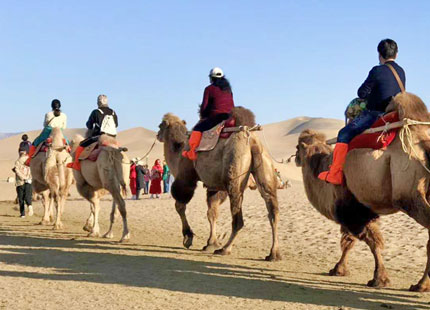 Camel Ride at Dunhuang