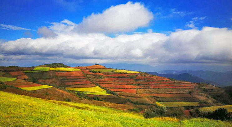 Terre rouge de Dongchuan