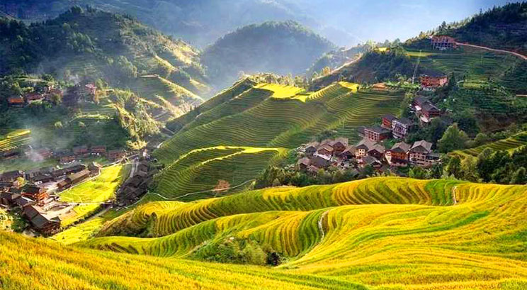 rizière en terrasse de Dazhai