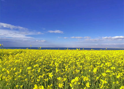 lac de Qinghai