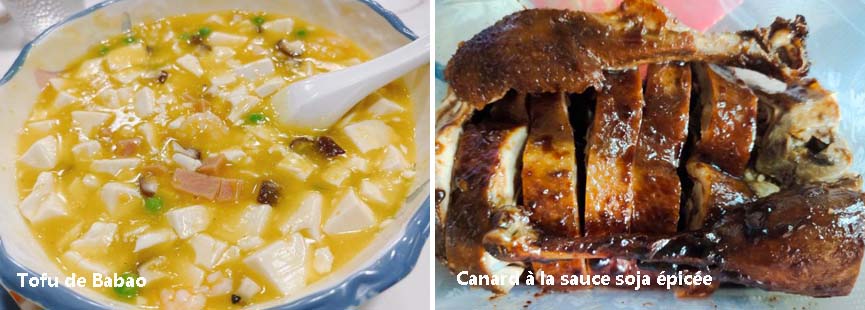 Tofu de Babao et Canard à la sauce soja épicée 