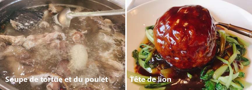 Soupe de tortue et du poulet et Tête de lion