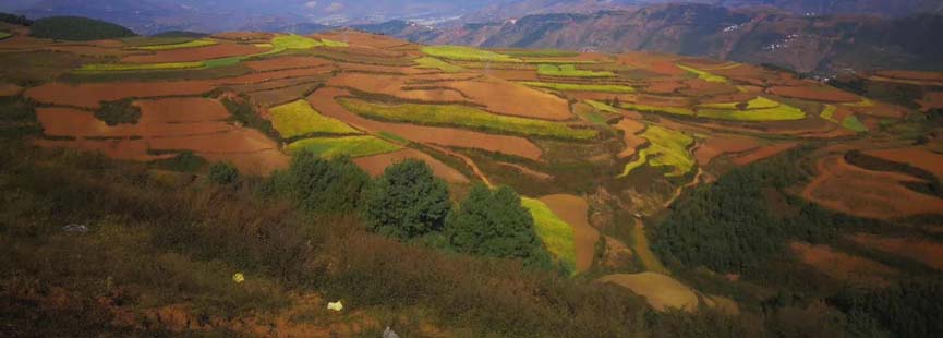 la terre rouge de Dongchuan