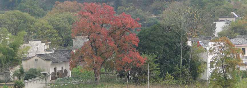 village de Tachuan