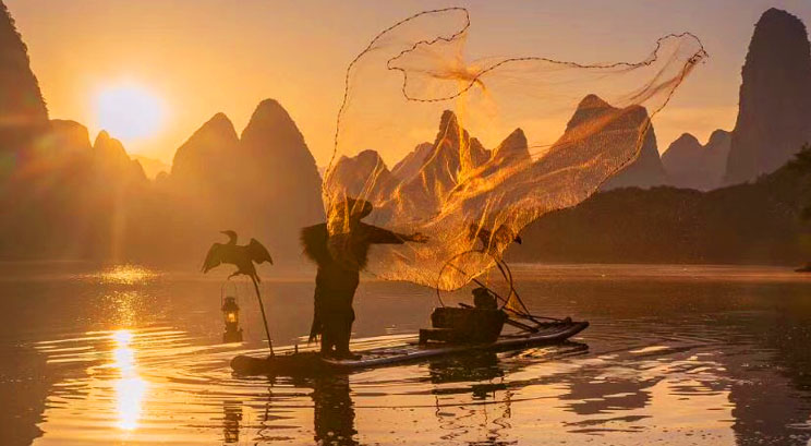 Xingping cormorant fishing 