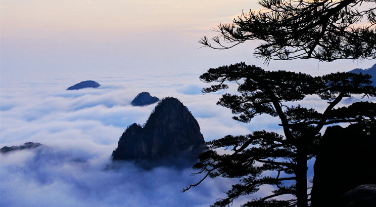 nuage dans la montagne jaune