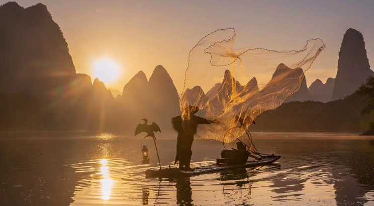 Xingping cormorant fishing 