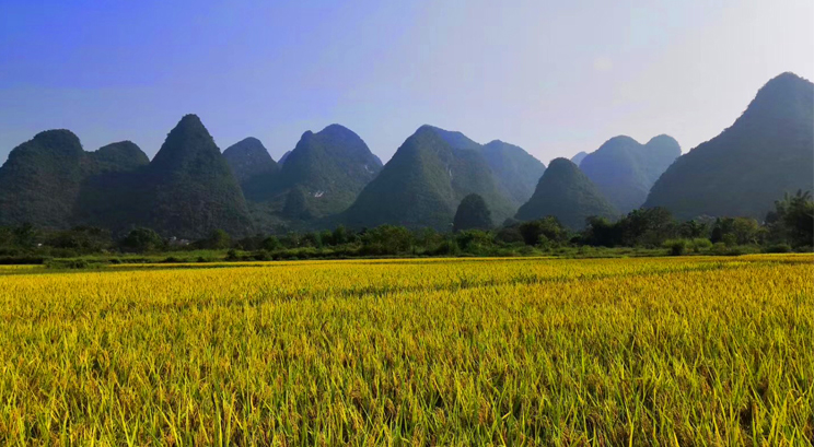 Yangshuo countryside