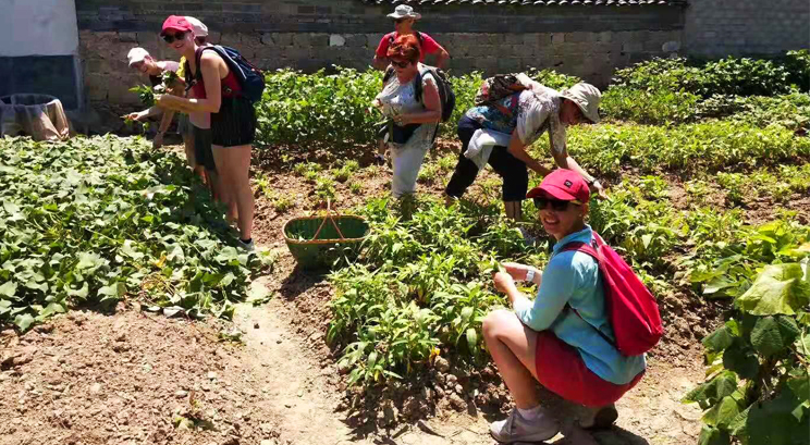 Huizhou life experience