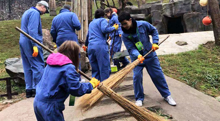 Panda Volunteering Work