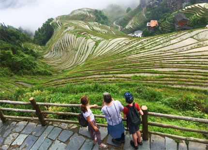 terrazas de arrozales