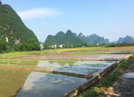 campagne Yangshuo