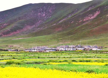 Yamdrok Lake