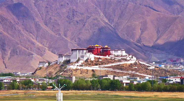 the Potala Palace 