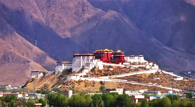 the Potala Palace 