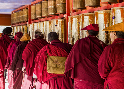 Lama in Lhasa