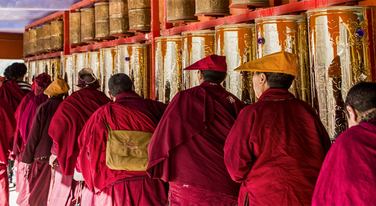 Lama in Lhasa