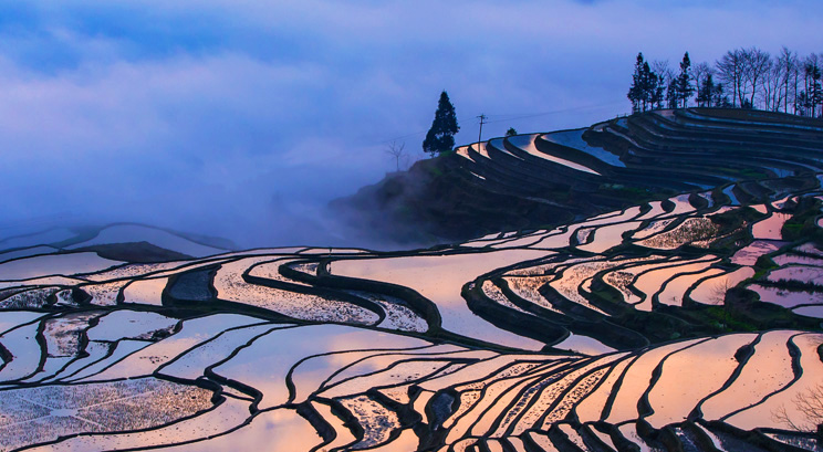 Yuanyang Rice Terrace