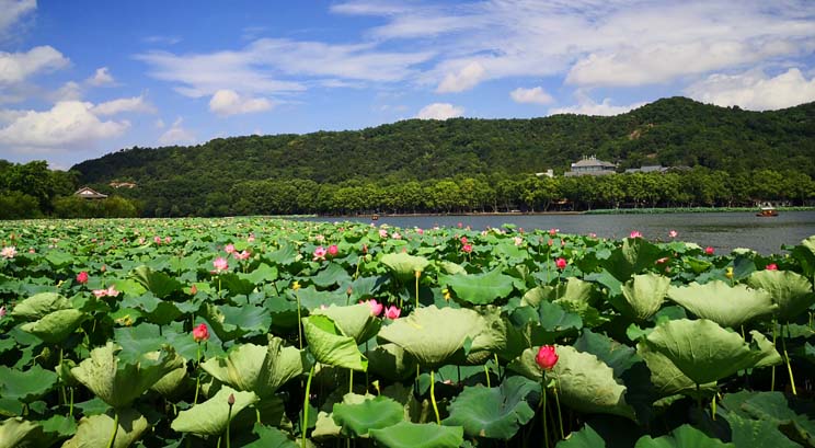 west lake hangzhou