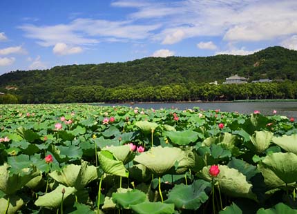 Hangzhou West Lake