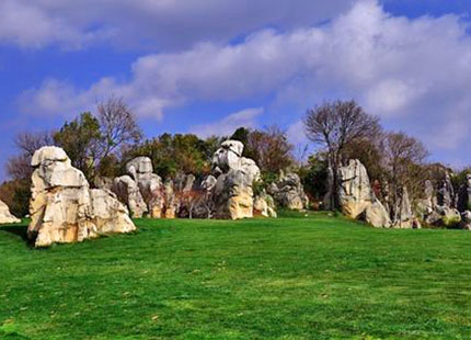 Stone Forest