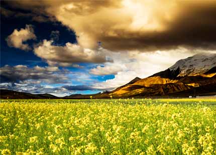 Tibet Scenery