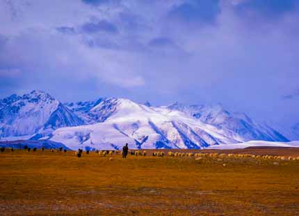 Tibet Scenery