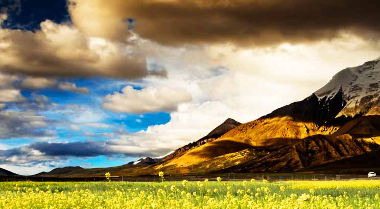 Tibet Scenery