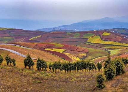 Dongchuan Red Land