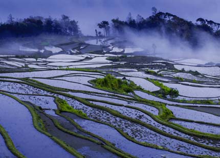 Yuanyang Rice terrace