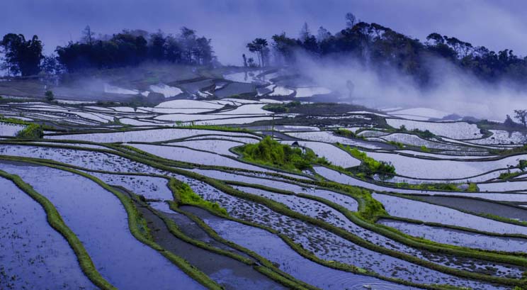 Yuanyang Hani Rice terrace