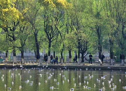 Green Lake