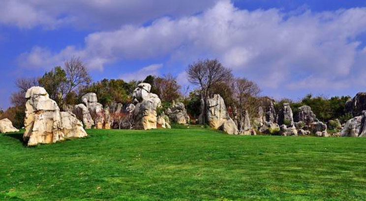 bosque de piedras