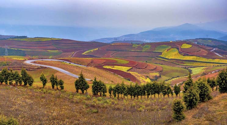 Dongchuan Red Land