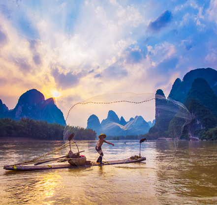 Cormorant fishing