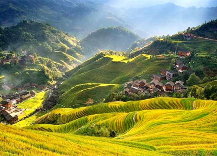 Longji Rice Terrace
