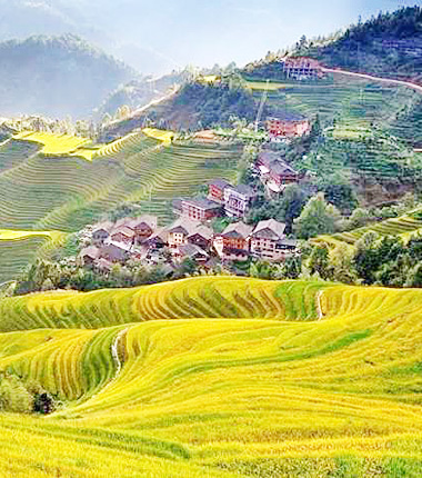Rice Terraces Fields in Guilin