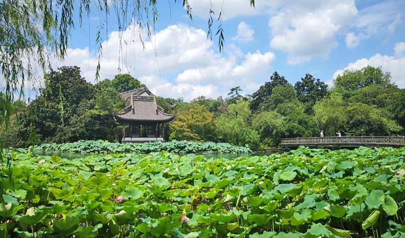 west lake in summer