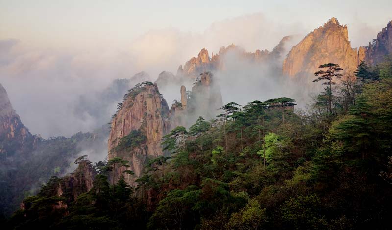 misty Yellow Mountain