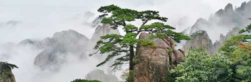 Misty Yellow Mountain
