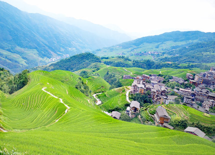 Longji in Summer time