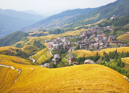 Longji in Autumn