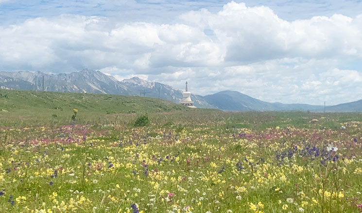 Litang Grassland