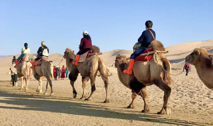 Camel ride