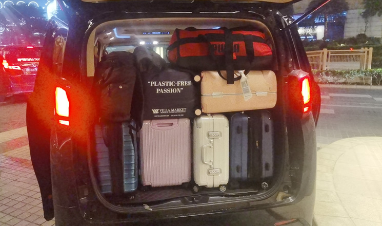 Alphard maximum loading capacity